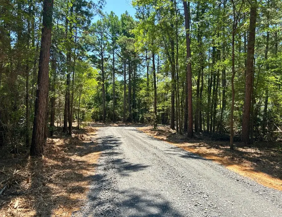 Tract 1 Pops Landing Rd, Ore City, TX 75683-0000 - #2