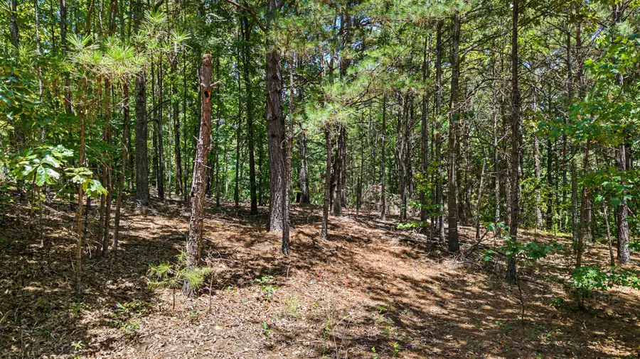 TBD Bluebird, Gilmer, TX 75645 - #3