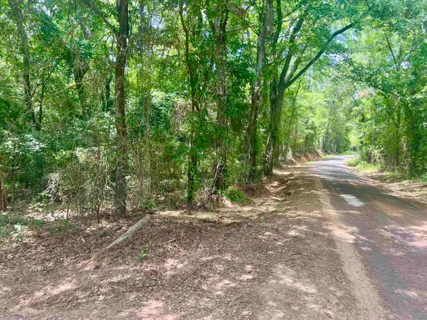 TBD County Road 435 D, Laneville, TX 75667
