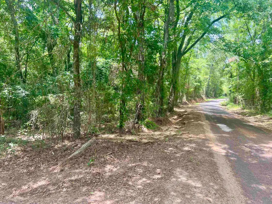 TBD County Road 435 D, Laneville, TX 75667 - #2