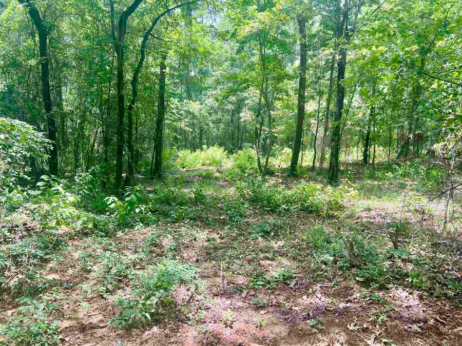 TBD County Road 435 D, Laneville, TX 75667 - #3