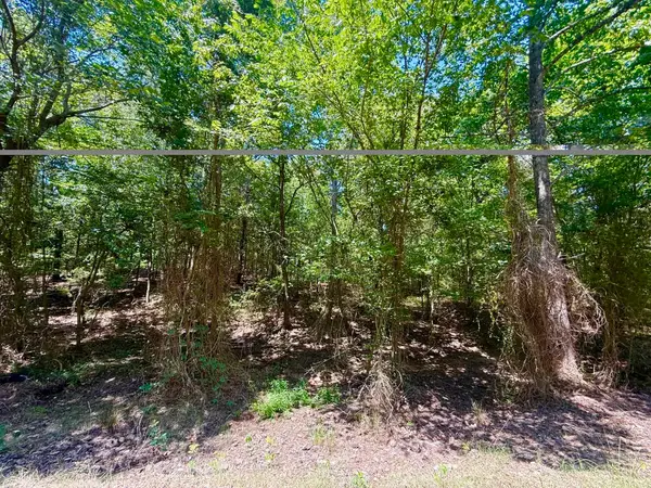 TBD CR 1755, Mount Pleasant, TX 75455