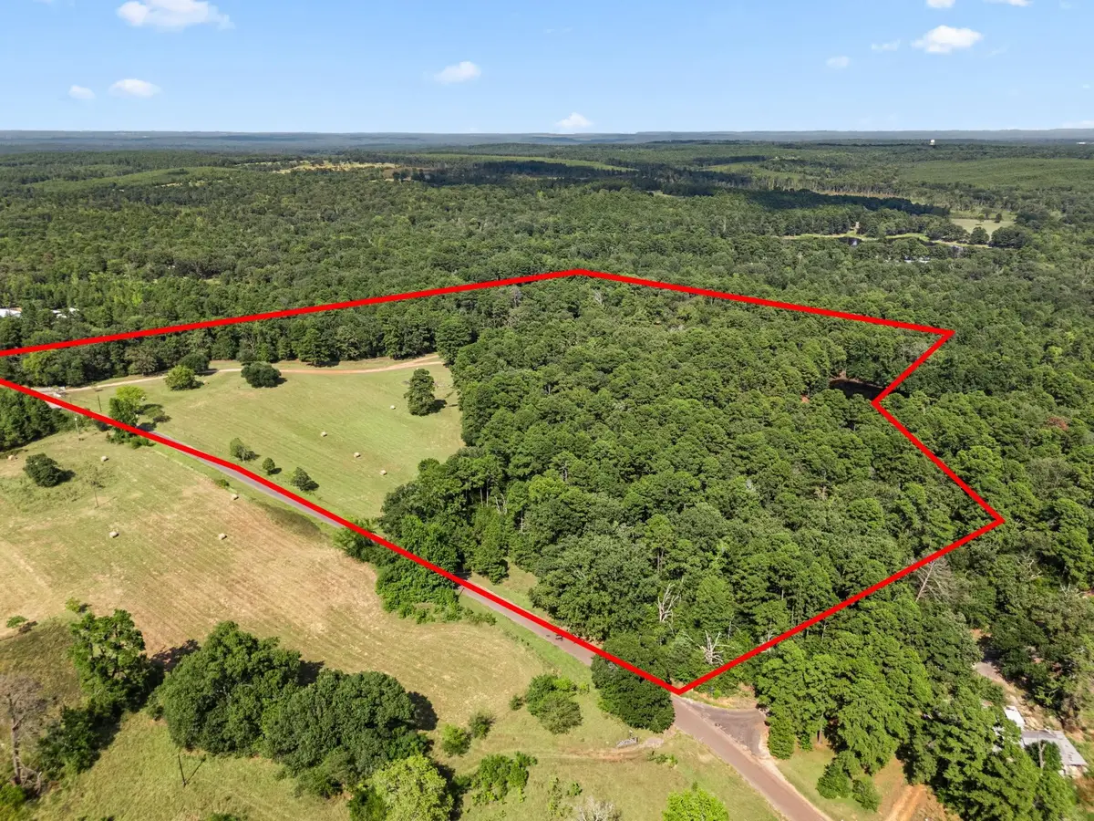 Address Withheld By Seller, Mineola, TX 75773 - #1