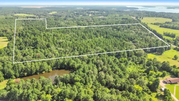 TBD 97+/- AC FM 3231, Beckville, TX 75631