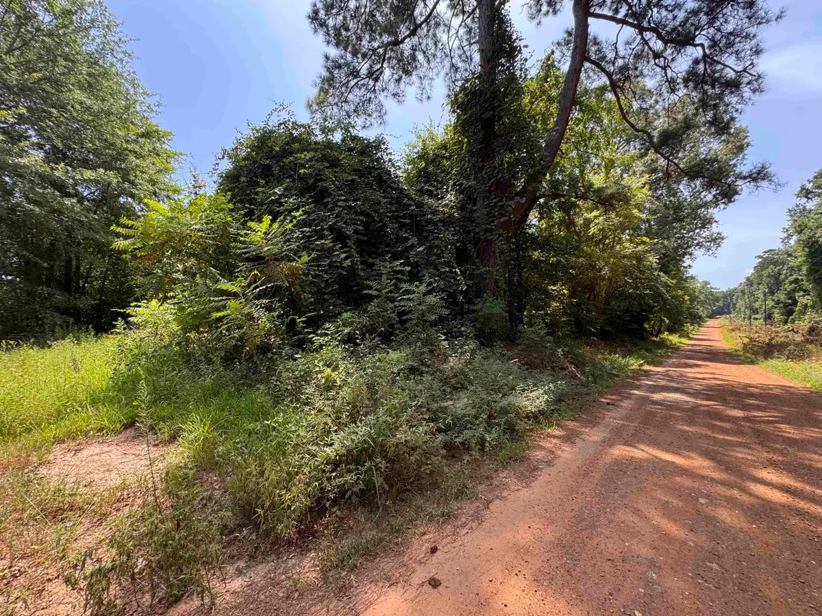 551 Pleasure Point Rd, Lone Star, TX 75668 - #1