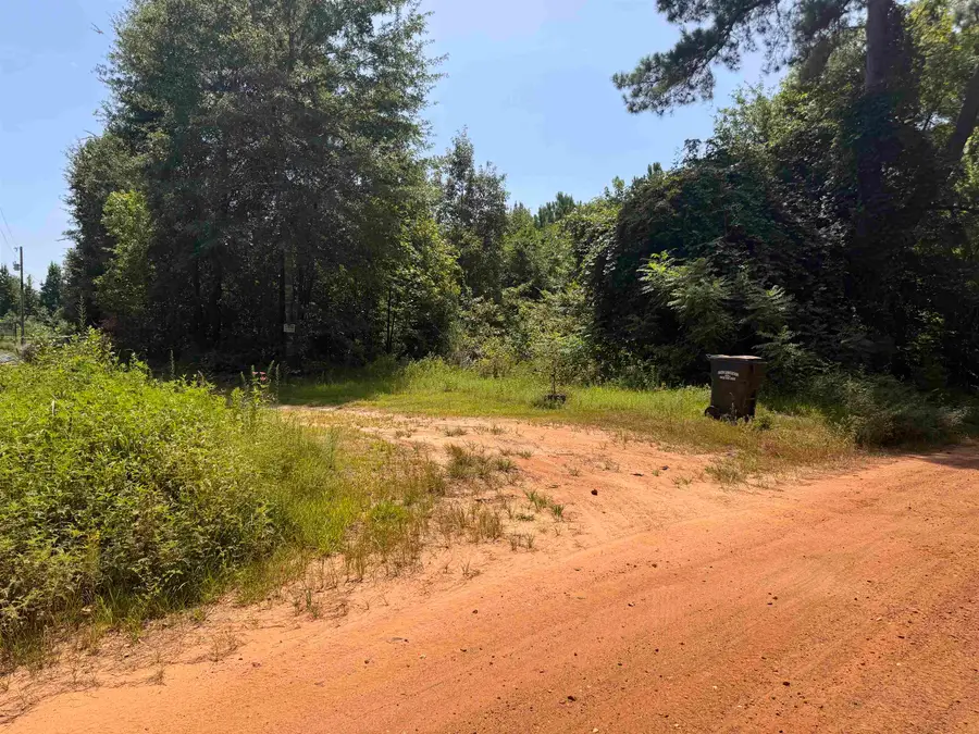 551 Pleasure Point Rd, Lone Star, TX 75668 - #3