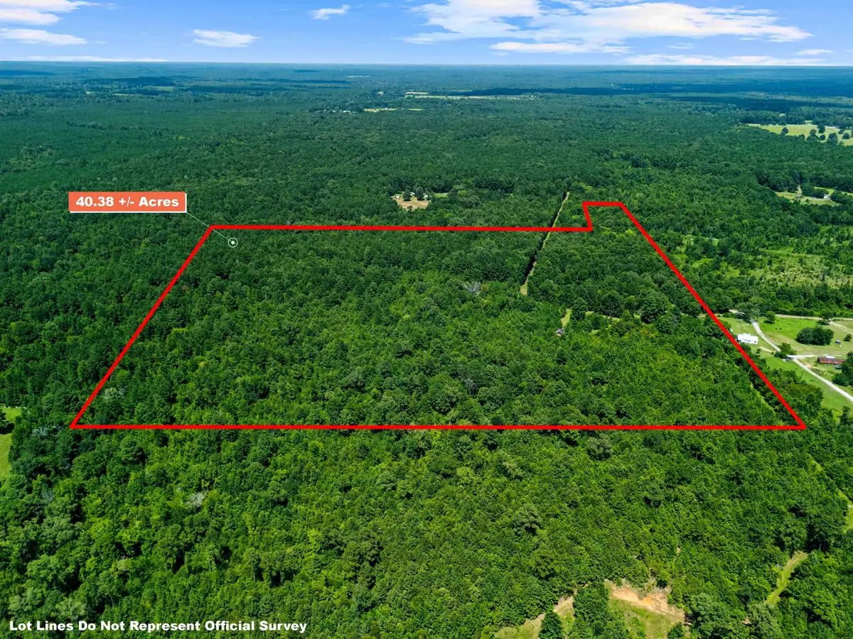 540 CR 3225, Jefferson, TX 75657 - #1