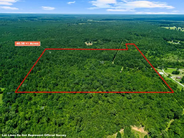 540 CR 3225, Jefferson, TX 75657