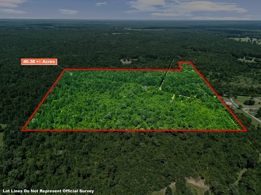 540 CR 3225, Jefferson, TX 75657 - #2
