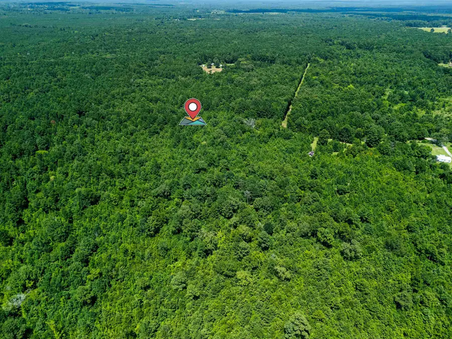 540 CR 3225, Jefferson, TX 75657 - #3