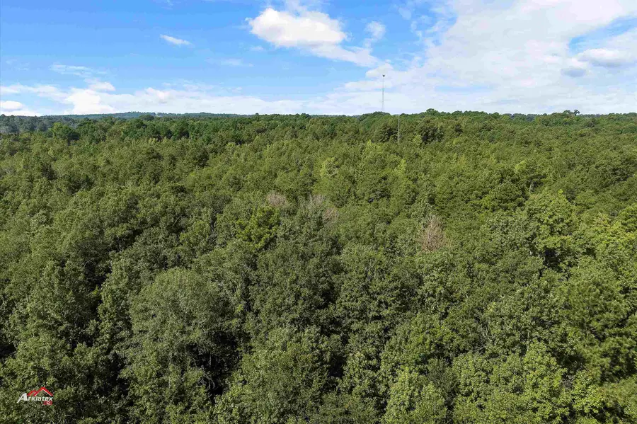 TBD Cole Rd, Marshall, TX 75672 - #2