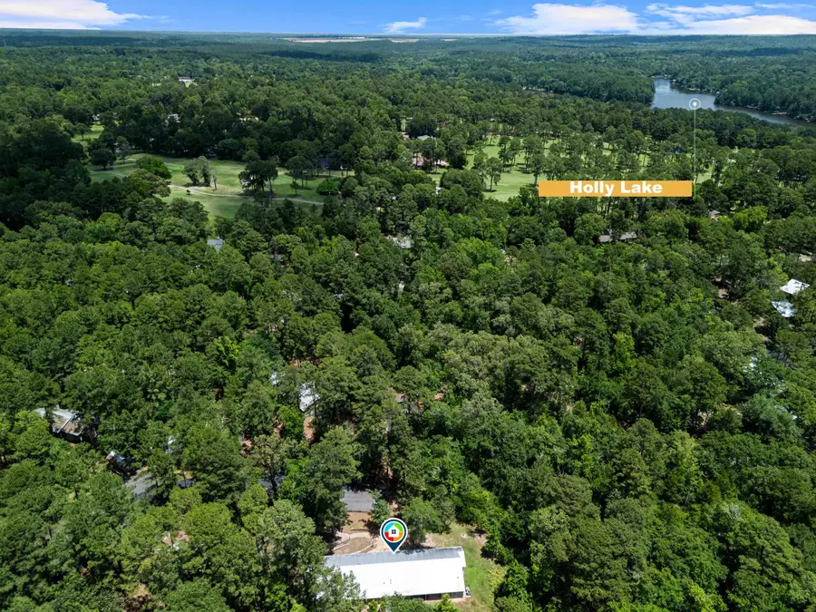 516 Holly Trail East, Holly Lake Ranch, TX 75765 - #3