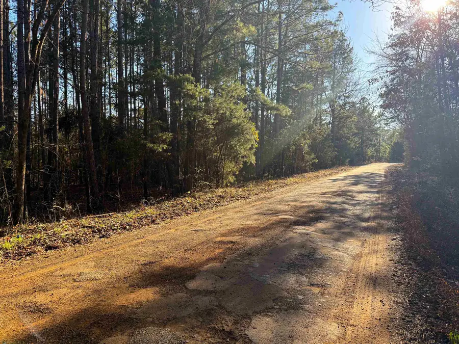 TBD County Rd 2623, Marietta, TX 75566 - #2