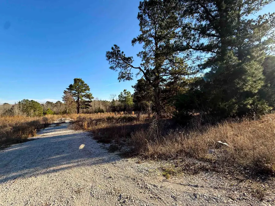 TBD County Rd 2623, Marietta, TX 75566 - #3