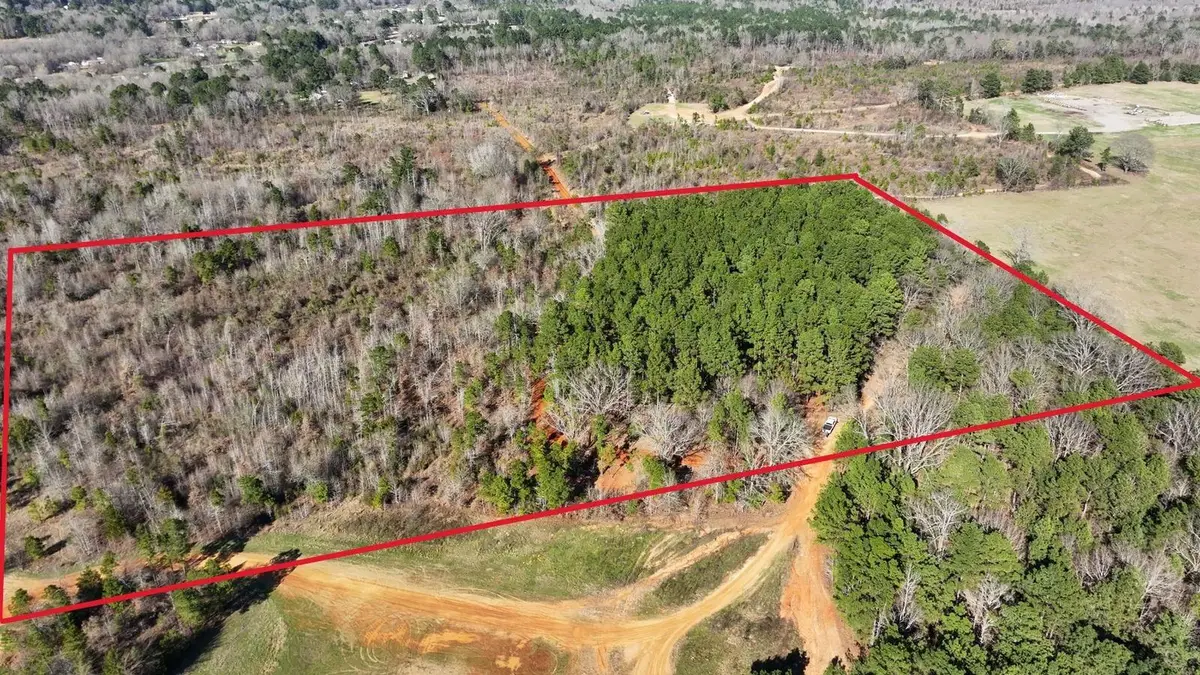 TBD County Road 2208D, Easton, TX 75603 - #1