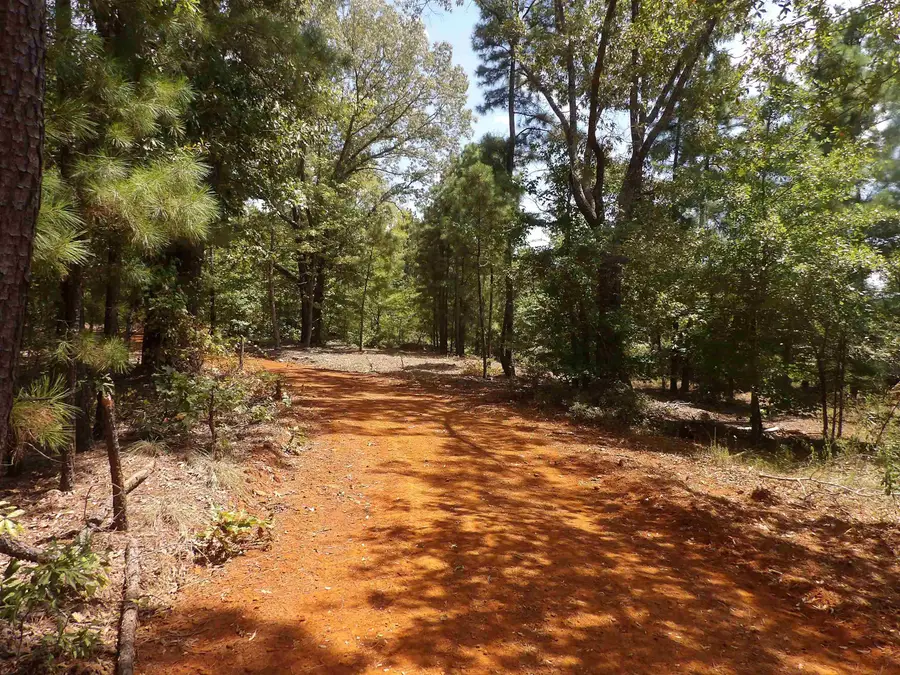 TBD County Road 2208D, Easton, TX 75603 - #2