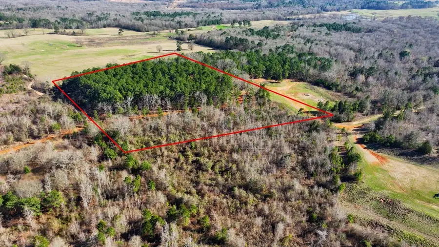 TBD County Road 2208D, Easton, TX 75603 - #3