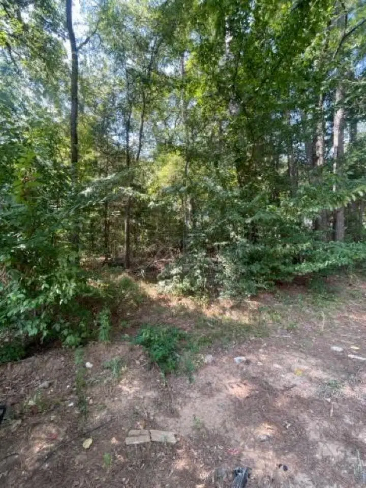 515 Caroline Lane, Bullard, TX 75757 - #3