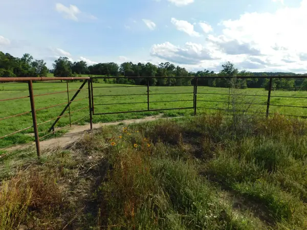 TBD GROUNDHOG RD, Big Sandy, TX 75647
