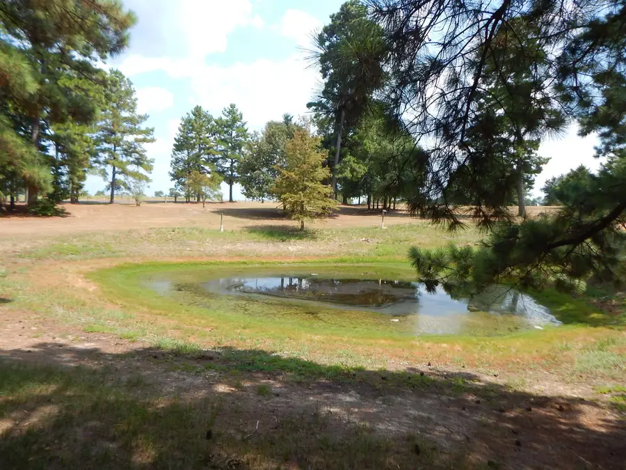 5000 GLENWOOD DR., Gilmer, TX 75645 - #2