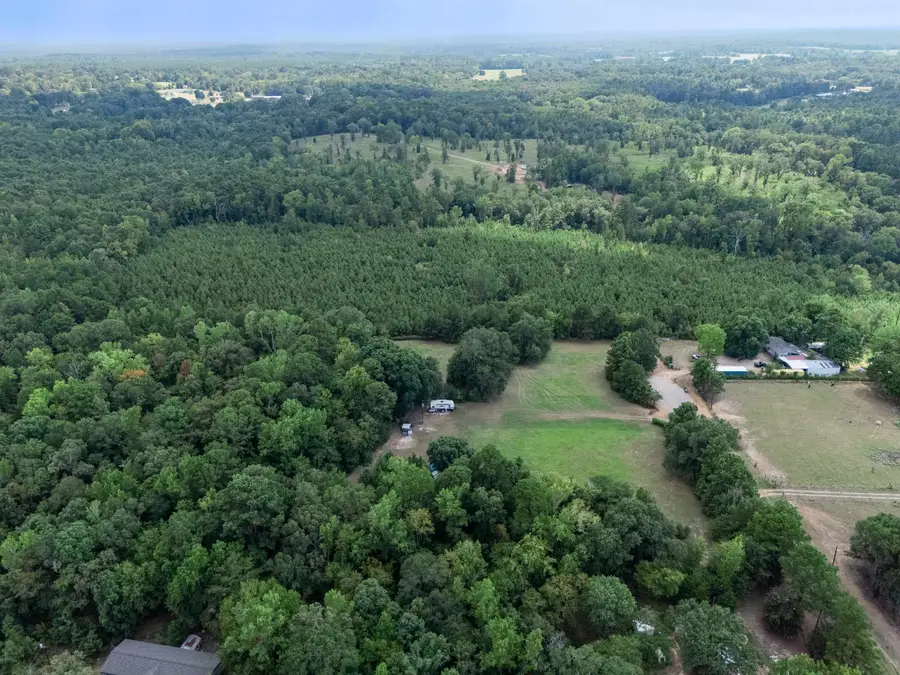 10370 County Rd 3168, Winona, TX 75792 - #3