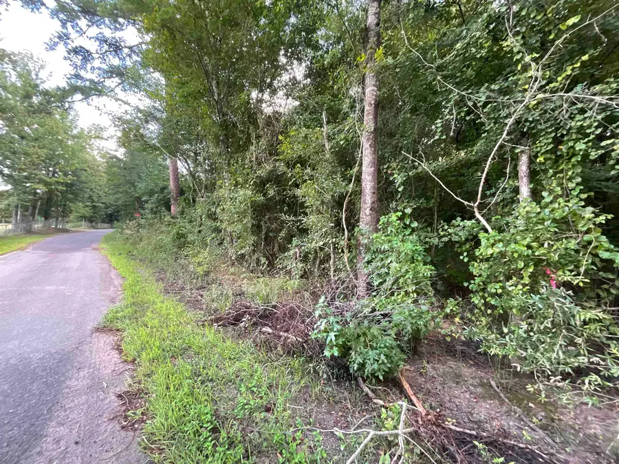 O Cargill Road, Marshall, TX 75672 - #3