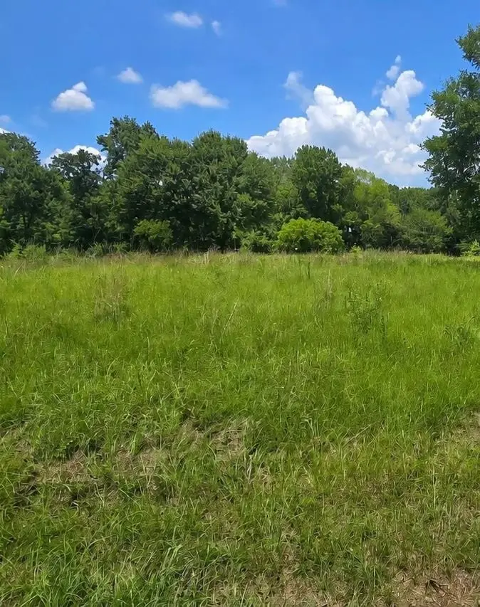 854 Red Bud Circle, Bullard, TX 75757 - #3