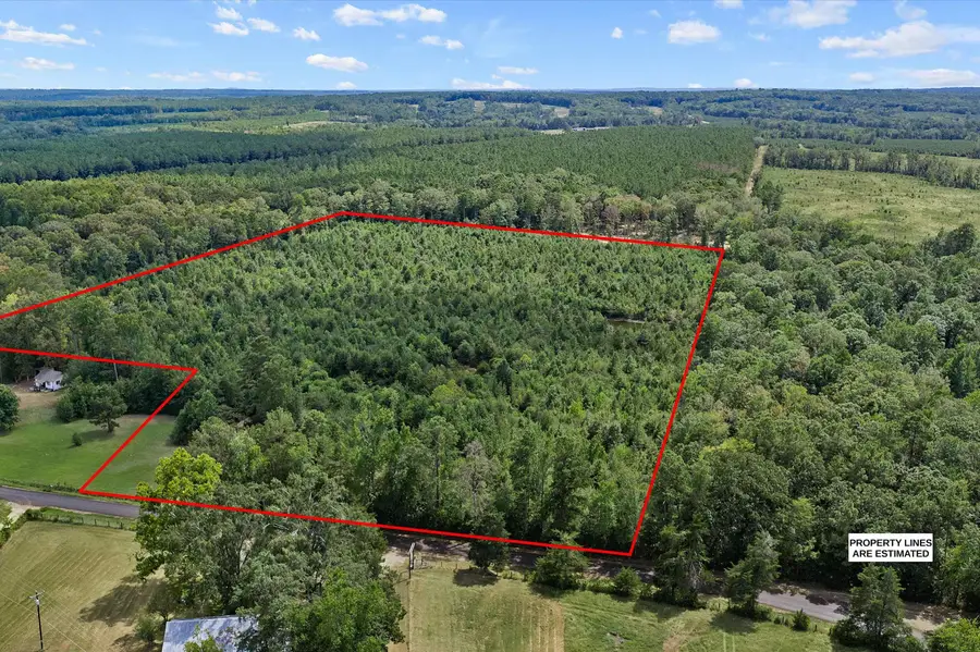 TBD County Road 175, Gary, TX 75643 - #3