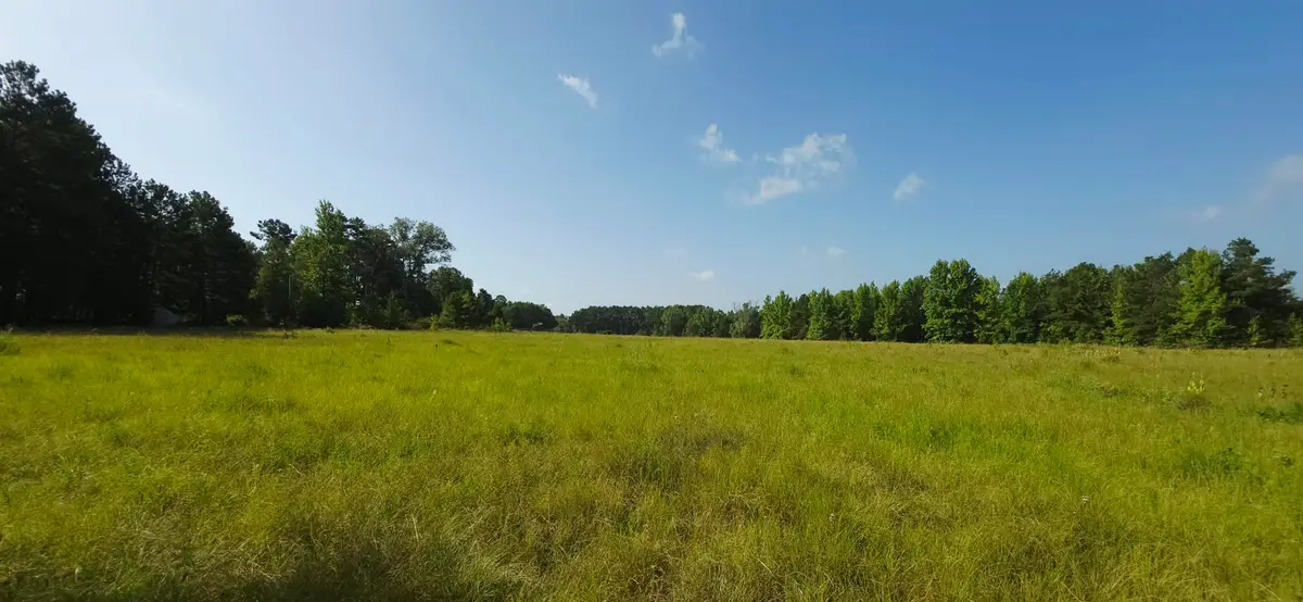 TBD County Road 374, Mount Enterprise, TX 75681 - #1