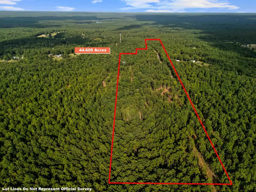 44.61 ac TBD Harkins Lane, Marshall, TX 75672 - #2