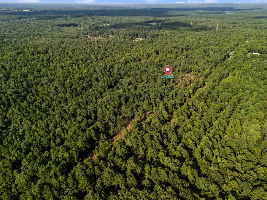 44.61 ac TBD Harkins Lane, Marshall, TX 75672 - #3