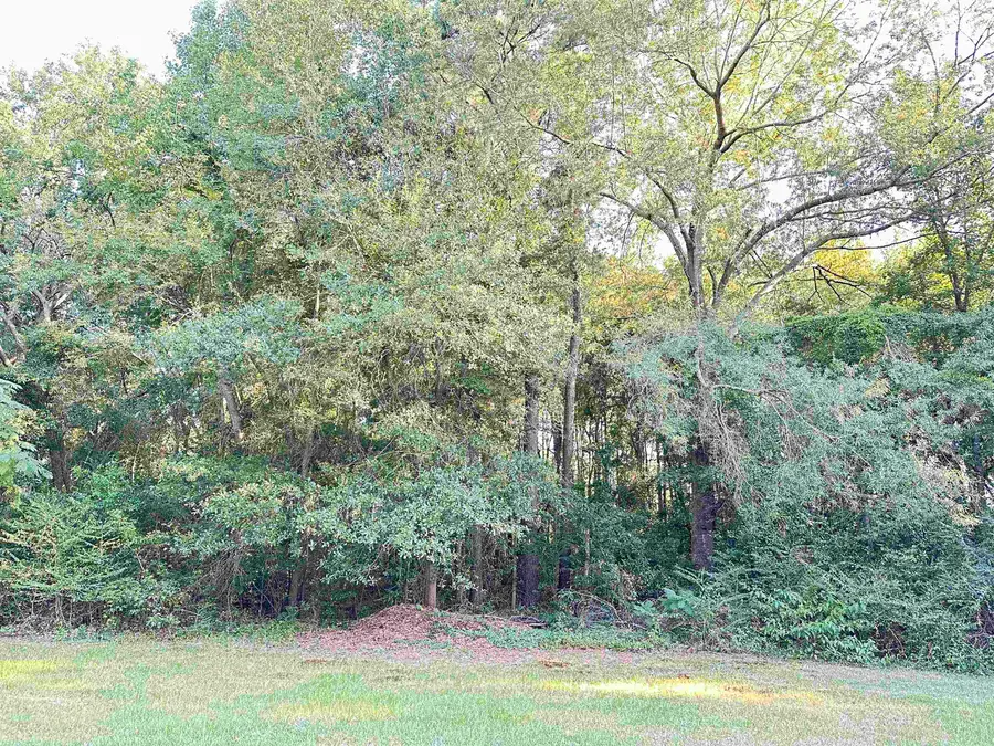 TBD Quitman St., Pittsburg, TX 75686 - #2
