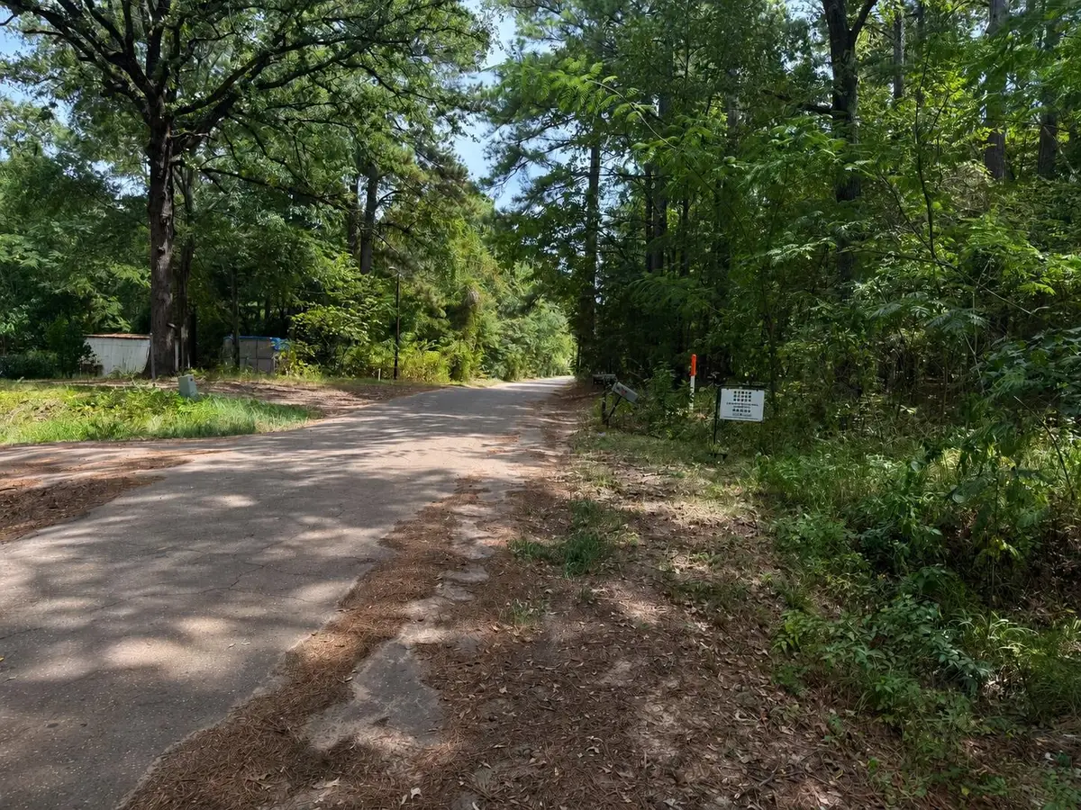 TBD GALAXIE St, Ore City, TX 75683 - #1
