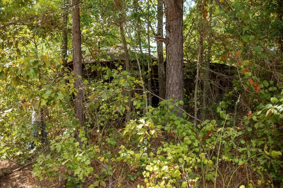 TBD Center Hill Road, Marshall, TX 75670 - #2