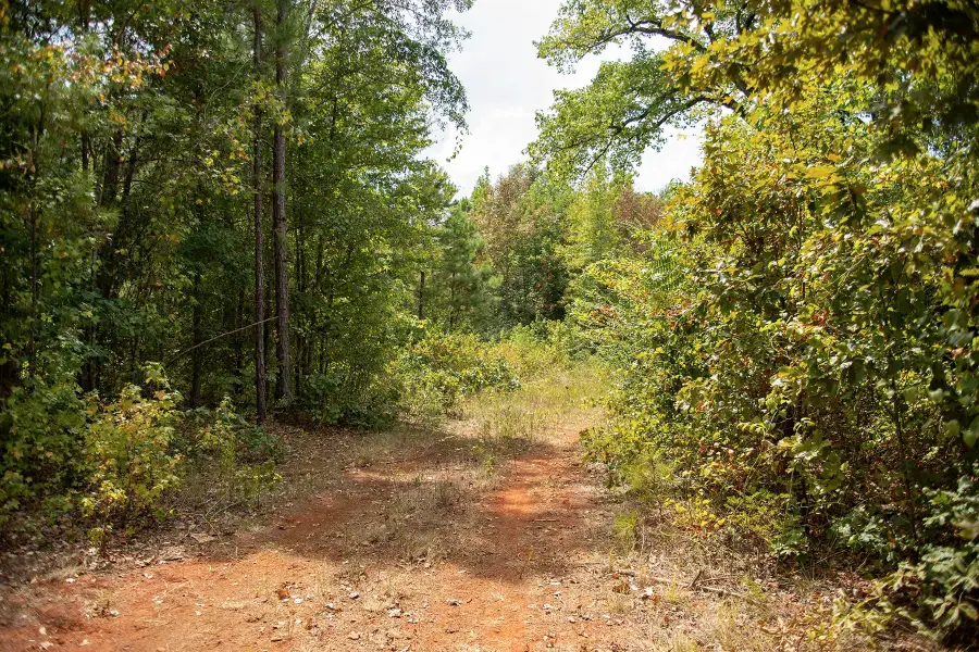 TBD Center Hill Road, Marshall, TX 75670 - #3
