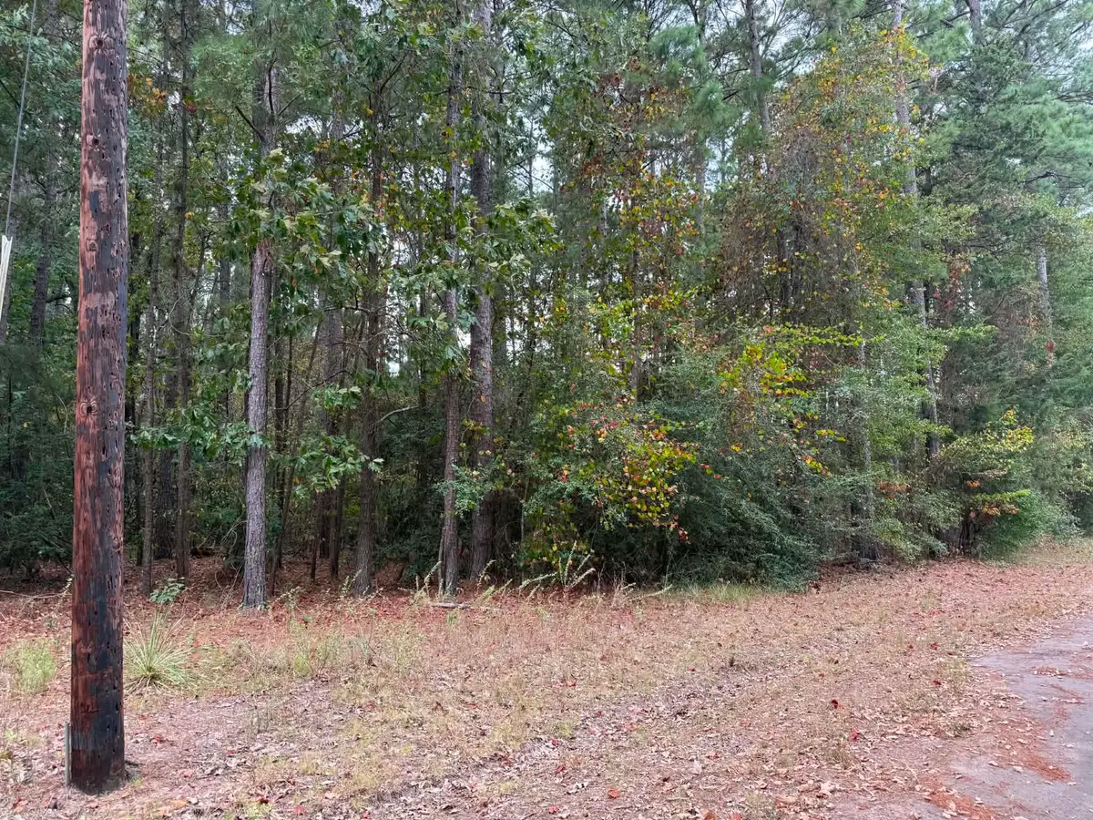TBD Quail Drive, Jefferson, TX 75657 - #1
