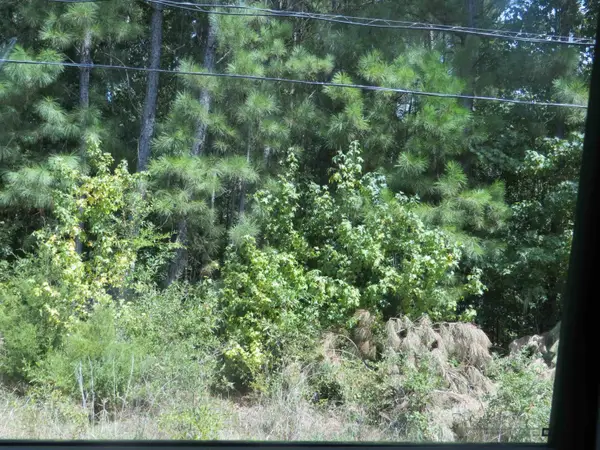 TBD Sweet Gum Rd, Gladewater, TX 75647