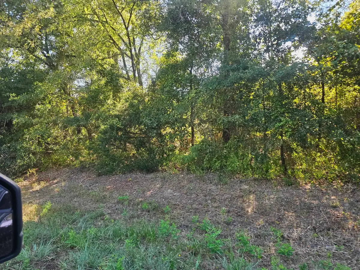 TBD N FM 49, Gilmer, TX 75644 - #1