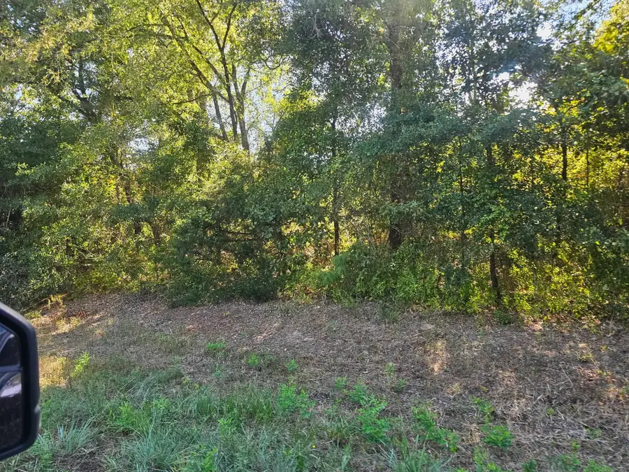 TBD N FM 49, Gilmer, TX 75644 - #2