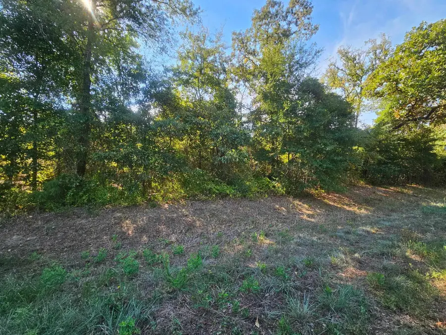 TBD N FM 49, Gilmer, TX 75644 - #3