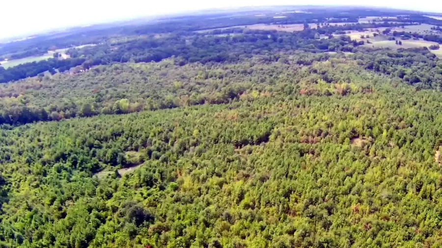 TBD HWY 1795, Gilmer, TX 75644 - #3