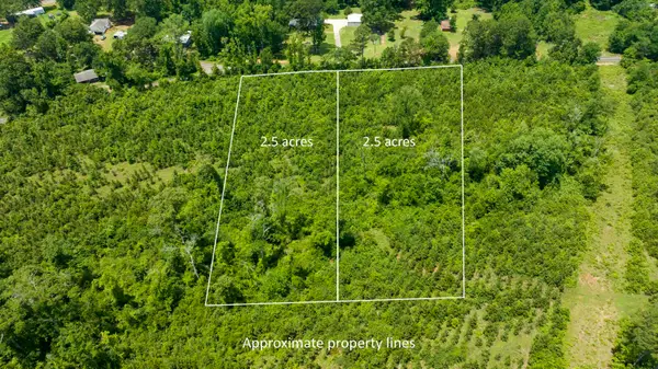 TBD Sparrow Rd., Diana, TX 75640