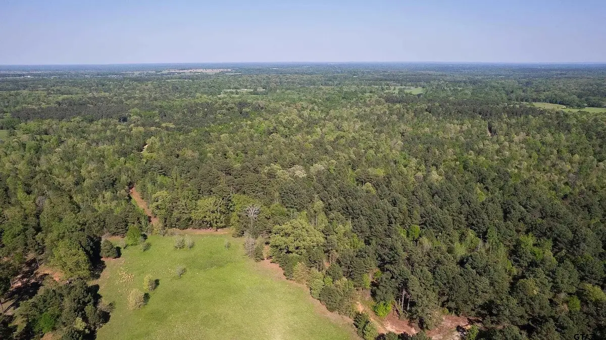 TBD FM 852, Winnsboro, TX 75494 - #1