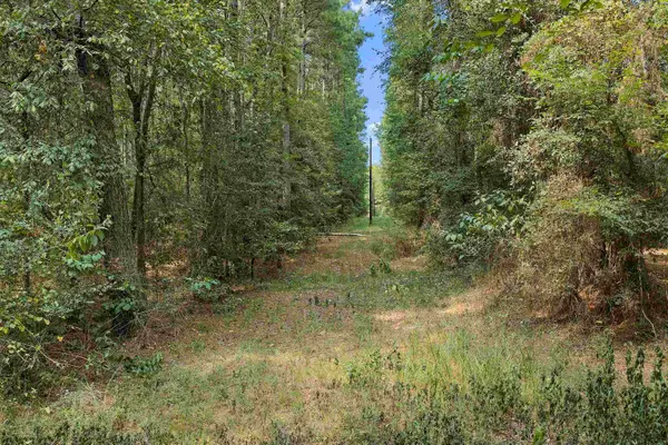 Tbd Cass county road 1579, Avinger, TX 75630