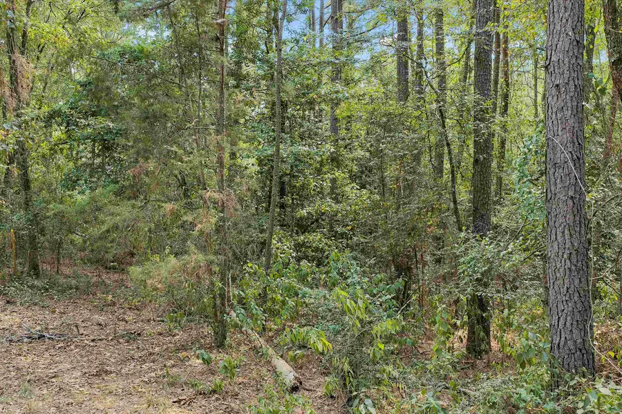 Tbd Cass county road 1579, Avinger, TX 75630 - #2