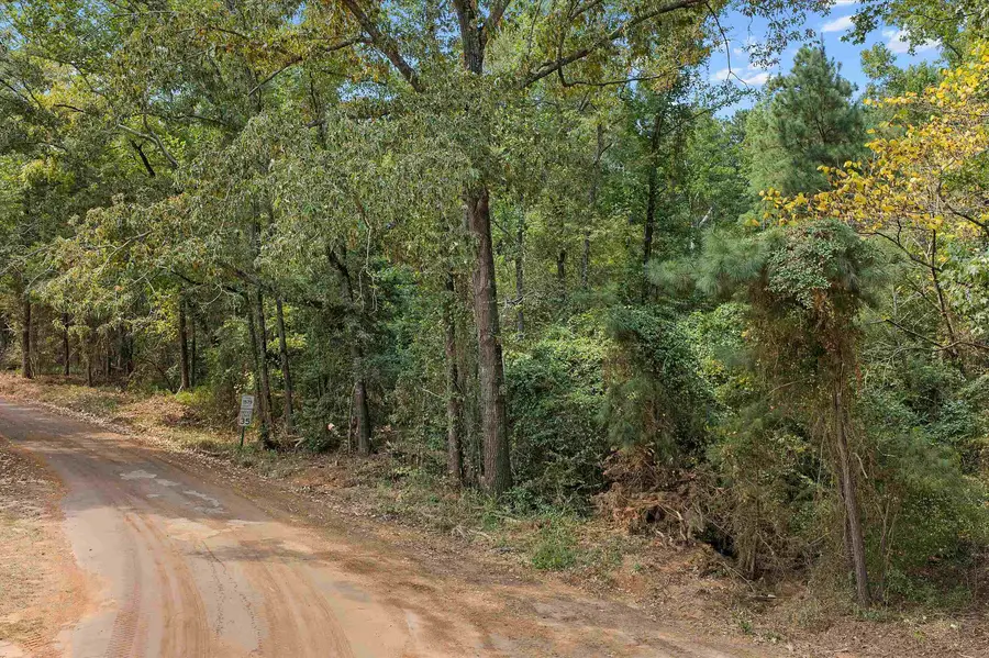 Tbd Cass county road 1579, Avinger, TX 75630 - #3