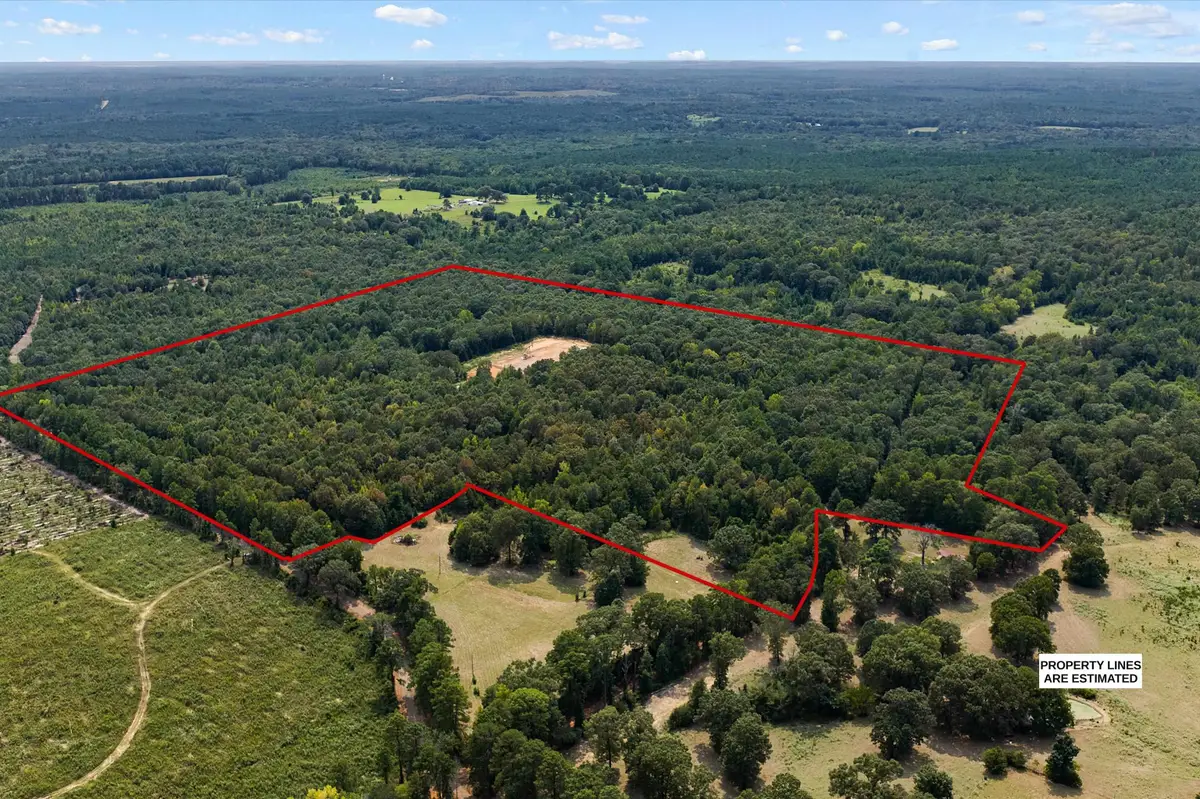 Tbd Cass county 1579, Avinger, TX 75630 - #1