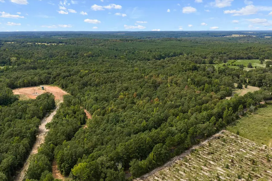 Tbd Cass county 1579, Avinger, TX 75630 - #2