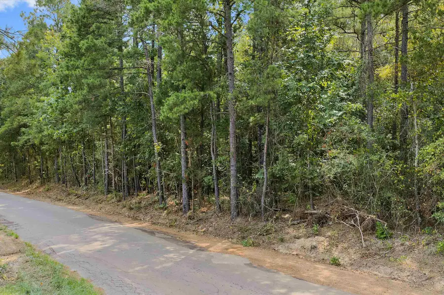 Tbd Cass county 1579, Avinger, TX 75630 - #3