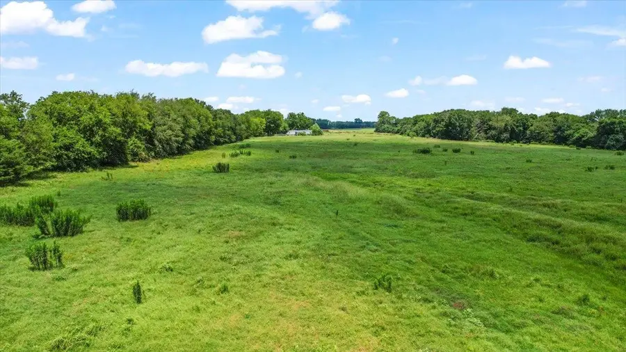 195 County Rd. 2468, Winnsboro, TX 75494 - #3